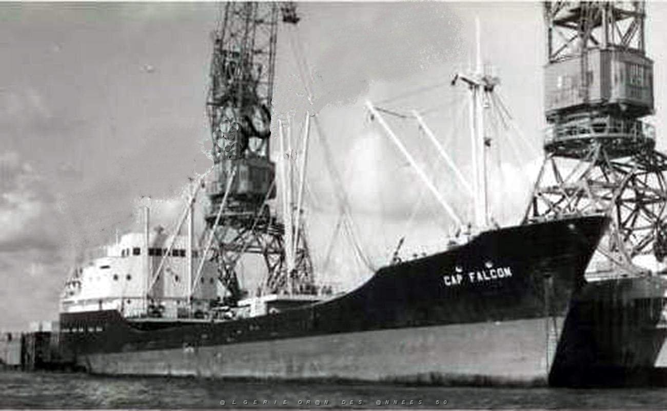 CAP FALCON 04.jpg